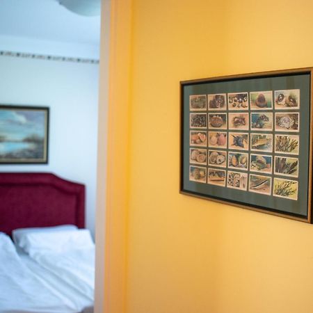 Apartament Kiskakas Vendeghaz Székkutas Zewnętrze zdjęcie