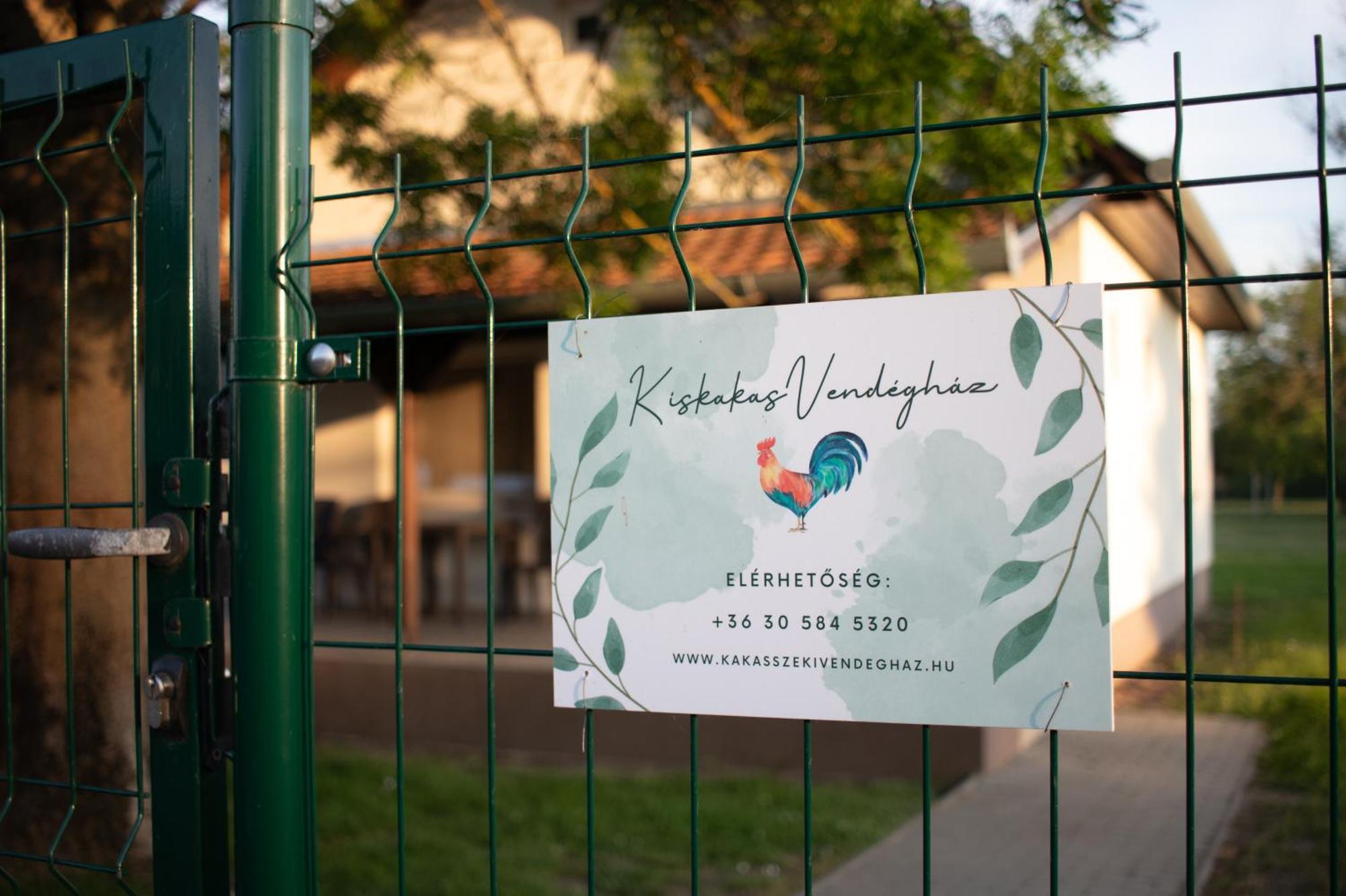Apartament Kiskakas Vendeghaz Székkutas Zewnętrze zdjęcie